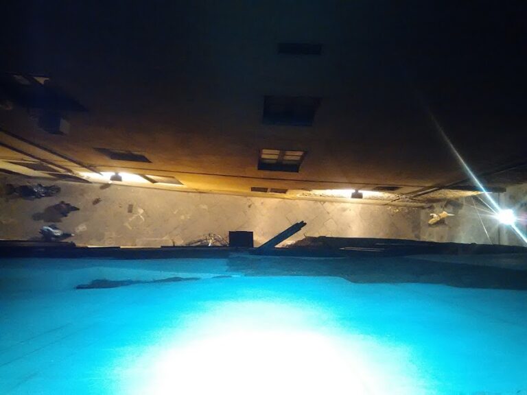 bucket e95ecd1f5 filep 1 768x576